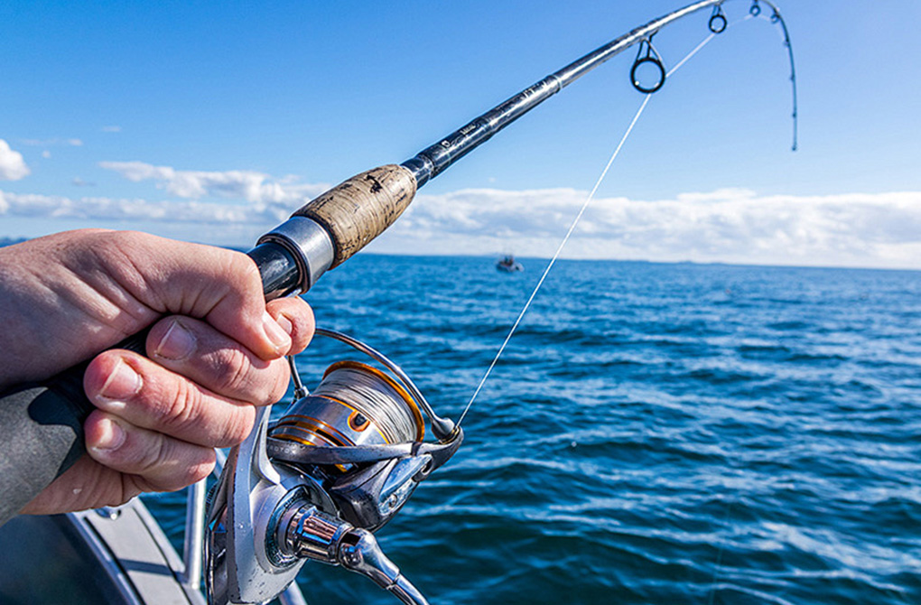 Fishing boats and fishing gear